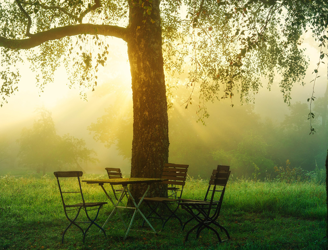 Dialoogpool.nl denkt met u mee en adviseert over te nemen stappen en structuur. Wij zijn een groep gemotiveerde en opgeleide gespreksbegeleiders, gedreven om bij te dragen aan goede gesprekken op de werkvloer